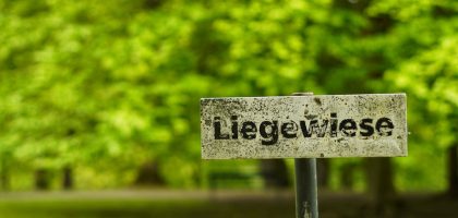 Liegewiese