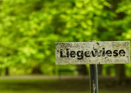 Liegewiese